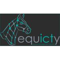 Equicty