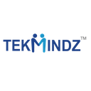 TekMindz Reviews