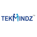 TekMindz