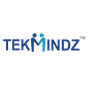 TekMindz Reviews