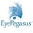 EyePegasus EHR Reviews
