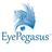 EyePegasus EHR