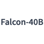 Falcon-40B Reviews