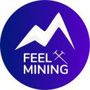 Feel Mining Reviews