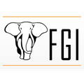 FGI