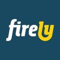 Firely Server