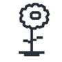 Flower Reviews