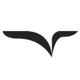 Freed AI Reviews