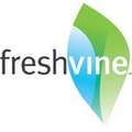 Fresh Vine