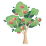 Fruitful Reviews