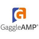 GaggleAMP Reviews