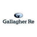 Galagher Re Emmersa Reviews