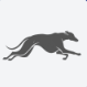 Galgos AI Reviews