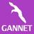 Gannet Reviews