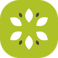 Kivii