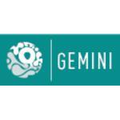 Countersoft Gemini