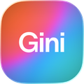 Gini by MyTraffic