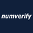 NumVerify Reviews