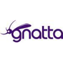 Gnatta