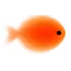 Goldfish