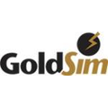 GoldSim