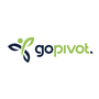 GoPivot