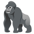 Gorilla Terminal