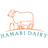 Hamari Dairy Reviews