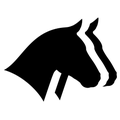 Horse Report System