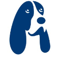 HoundDog