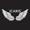 ICARIS