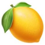 Lemon Slice Reviews