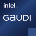 Intel Gaudi Software