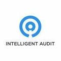 Intelligent Audit