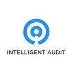 Intelligent Audit Reviews