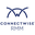 ConnectWise RMM Icon