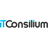 ITConsilium Reviews