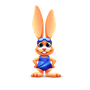 Jackrabbit Swim