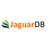 JaguarDB Reviews