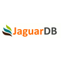 JaguarDB Reviews