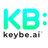 Keybe SmartChat Reviews