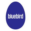 Bluebird