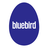 Bluebird