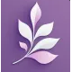 Lilac Reviews
