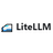 LiteLLM Reviews