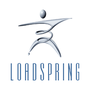 LoadSpring Cloud Platform