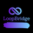 LoopBridge Reviews
