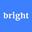 Bright Data Icon