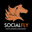 Socialfly Reviews