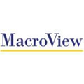 MacroView DMF